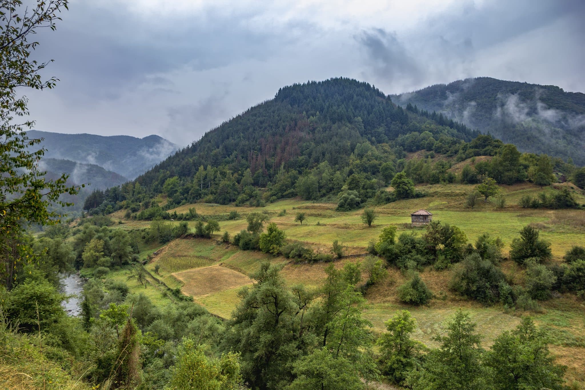 Quelle activité pratiquer à la montagne durant ses vacances en été ?